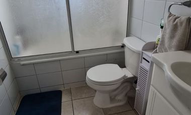 Graneros, Los Torunos