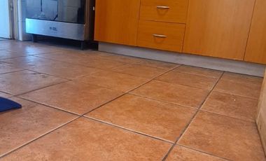 Graneros, Los Torunos