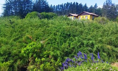 Venta De Parcela Casa En Los Pinares En Algarrobo