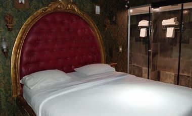 Establecimiento 14 dormitorios y 14 baños para uso motel o arriendo de habitaciones en Recoleta