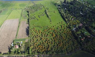 PARCELA LAGUNA ACULEO DE 19 HECTAREAS, PAINE
