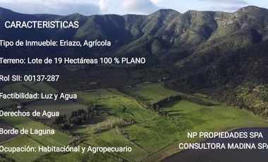 PARCELA LAGUNA ACULEO DE 19 HECTAREAS, PAINE