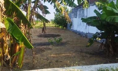 Tanah dijual di Kedungpring, Gresik, Jawa Timur