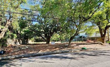 Residential Lot for sale in Madrigal Avenue, Ayala Alabang Village, Ayala Alabang, Muntinlupa District 2, Muntinlupa, Southern Manila District