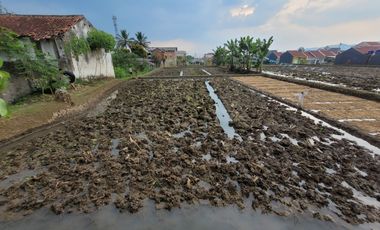 DIJUAL TANAH DAN SAWAH DI RAJAMANDALA CIPATAT BANDUNG