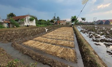 DIJUAL TANAH DAN SAWAH DI RAJAMANDALA CIPATAT BANDUNG