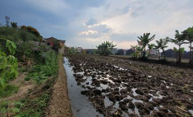 DIJUAL TANAH DAN SAWAH DI RAJAMANDALA CIPATAT BANDUNG