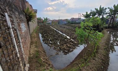 DIJUAL TANAH DAN SAWAH DI RAJAMANDALA CIPATAT BANDUNG