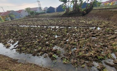 DIJUAL TANAH DAN SAWAH DI RAJAMANDALA CIPATAT BANDUNG