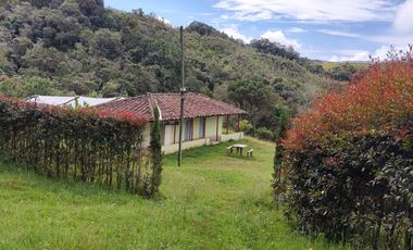 EL PUNTO DE PARTIDA PARA TU PROYECTO PRODUCTIVO EN ABEJORRAL : FINCA DE 7 CUADRAS