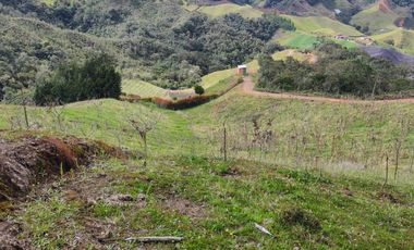EL PUNTO DE PARTIDA PARA TU PROYECTO PRODUCTIVO EN ABEJORRAL : FINCA DE 7 CUADRAS