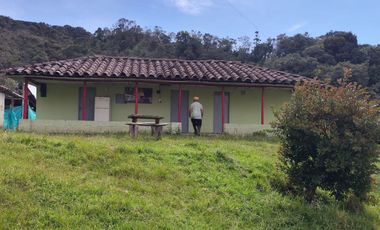 EL PUNTO DE PARTIDA PARA TU PROYECTO PRODUCTIVO EN ABEJORRAL : FINCA DE 7 CUADRAS