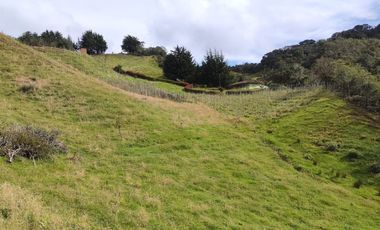 EL PUNTO DE PARTIDA PARA TU PROYECTO PRODUCTIVO EN ABEJORRAL : FINCA DE 7 CUADRAS