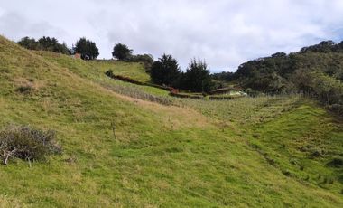 EL PUNTO DE PARTIDA PARA TU PROYECTO PRODUCTIVO EN ABEJORRAL : FINCA DE 7 CUADRAS