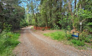 Exclusivo Loteo Los Coihues – Parcelas de 5.000 m² en Sector Casa Blanca, Valdivia