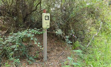 Exclusivo Loteo Los Coihues – Parcelas de 5.000 m² en Sector Casa Blanca, Valdivia