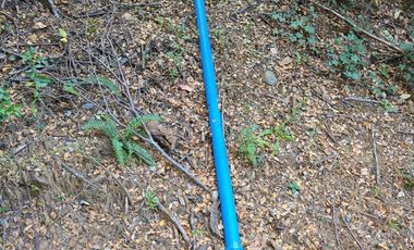 Exclusivo Loteo Los Coihues – Parcelas de 5.000 m² en Sector Casa Blanca, Valdivia