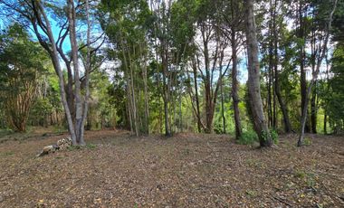 Exclusivo Loteo Los Coihues – Parcelas de 5.000 m² en Sector Casa Blanca, Valdivia