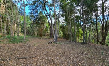 Exclusivo Loteo Los Coihues – Parcelas de 5.000 m² en Sector Casa Blanca, Valdivia