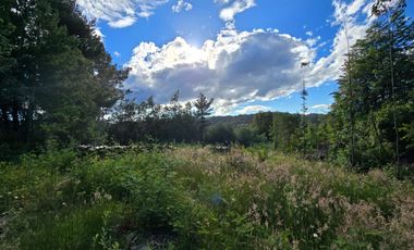 Exclusivo Loteo Los Coihues – Parcelas de 5.000 m² en Sector Casa Blanca, Valdivia