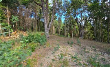 Exclusivo Loteo Los Coihues – Parcelas de 5.000 m² en Sector Casa Blanca, Valdivia