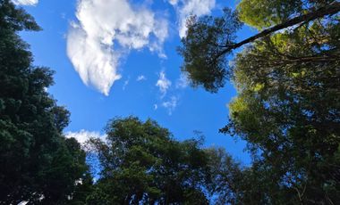 Exclusivo Loteo Los Coihues – Parcelas de 5.000 m² en Sector Casa Blanca, Valdivia