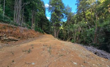 Exclusivo Loteo Los Coihues – Parcelas de 5.000 m² en Sector Casa Blanca, Valdivia