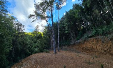 Exclusivo Loteo Los Coihues – Parcelas de 5.000 m² en Sector Casa Blanca, Valdivia