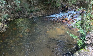 Exclusivo Loteo Los Coihues – Parcelas de 5.000 m² en Sector Casa Blanca, Valdivia