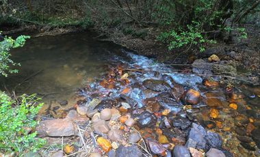 Exclusivo Loteo Los Coihues – Parcelas de 5.000 m² en Sector Casa Blanca, Valdivia