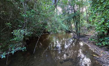 Exclusivo Loteo Los Coihues – Parcelas de 5.000 m² en Sector Casa Blanca, Valdivia