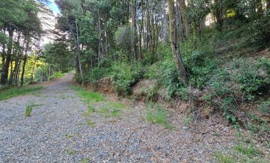 Exclusivo Loteo Los Coihues – Parcelas de 5.000 m² en Sector Casa Blanca, Valdivia
