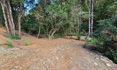 Exclusivo Loteo Los Coihues – Parcelas de 5.000 m² en Sector Casa Blanca, Valdivia