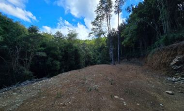 Exclusivo Loteo Los Coihues – Parcelas de 5.000 m² en Sector Casa Blanca, Valdivia