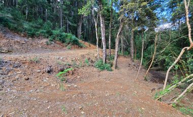 Exclusivo Loteo Los Coihues – Parcelas de 5.000 m² en Sector Casa Blanca, Valdivia