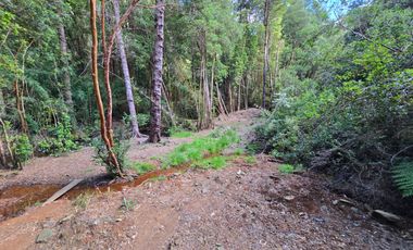 Exclusivo Loteo Los Coihues – Parcelas de 5.000 m² en Sector Casa Blanca, Valdivia