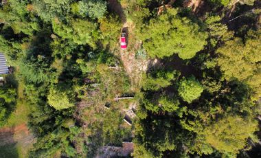 Exclusivo Loteo Los Coihues – Parcelas de 5.000 m² en Sector Casa Blanca, Valdivia