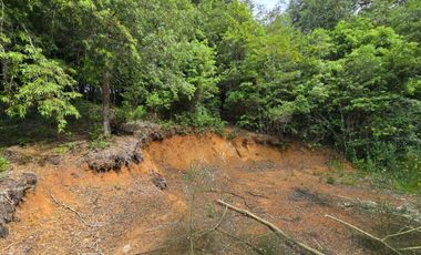 Casa Regularizada en Parcela de 5.000 m² – Sector Casa Blanca, Valdivia