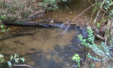 Casa Regularizada en Parcela de 5.000 m² – Sector Casa Blanca, Valdivia