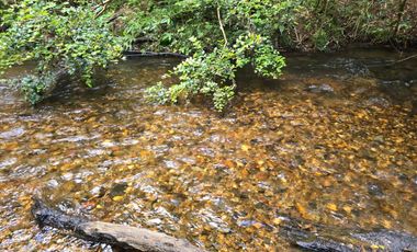Casa Regularizada en Parcela de 5.000 m² – Sector Casa Blanca, Valdivia