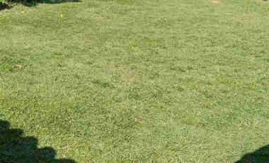 Excelente oportunidad de inversión