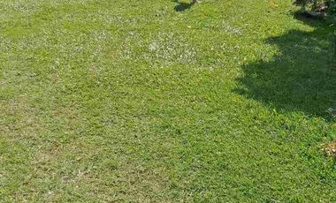 Excelente oportunidad de inversión