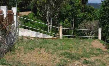 dijual lahan + rumah semi villa