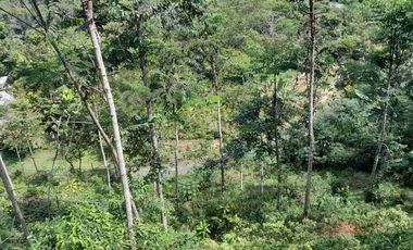 dijual lahan + rumah semi villa