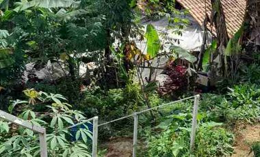 dijual lahan + rumah semi villa