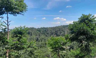 dijual lahan + rumah semi villa