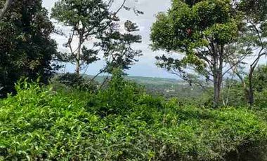 dijual lahan + rumah semi villa