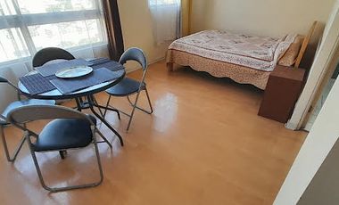 VENDO ESTUDIO ACOGEDOR ILUMINADO AMOBLADO, OPORTUNIDAD.