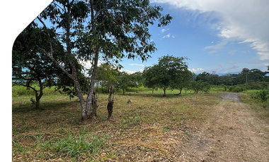 🌟 Gran oportunidad de inversión en Sucúa 🌟, Terreno en la Amazonía, Terreno grande y barato en Sucúa, Terreno de oportunidad en Morona Santiago.