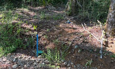 Se vende parcela en Condomino Alto Rio Valdivia